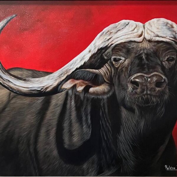Fine Art by Helene Kapp Buffalo