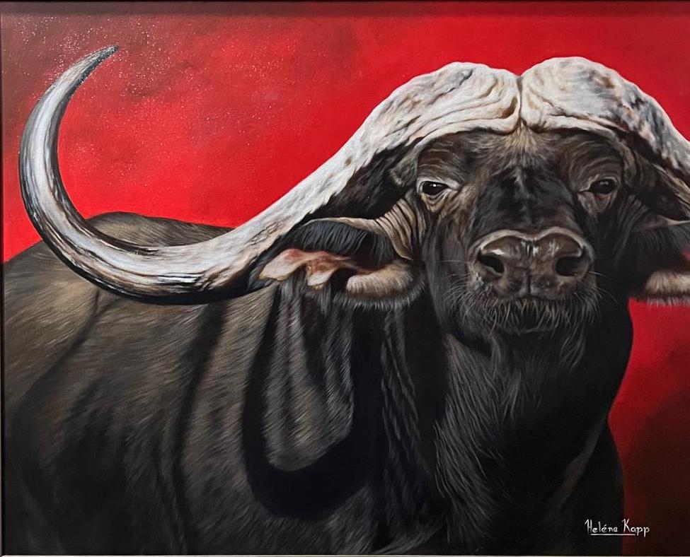 Fine Art by Helene Kapp Buffalo