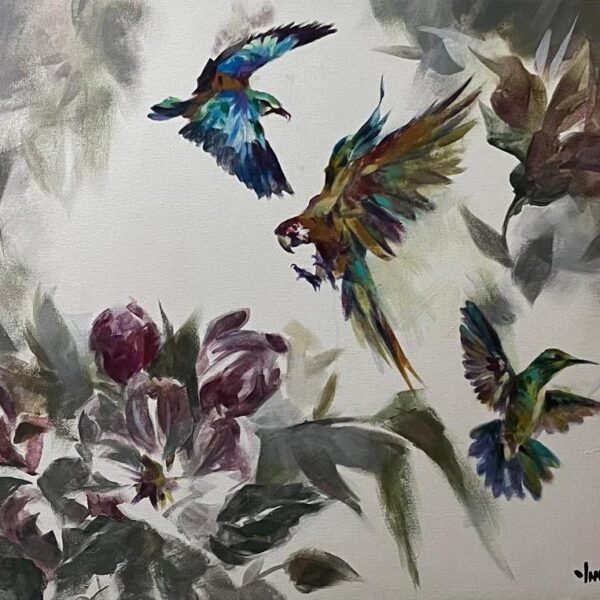 Fine Art by Ian Hertslet Hummingbirds